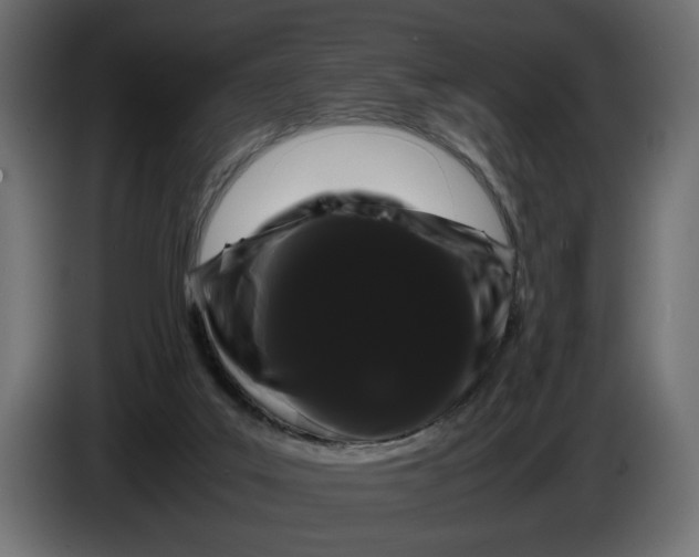 X0000086090019200704132135