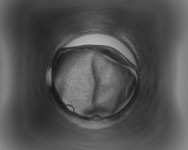 X0000086090020200704132135