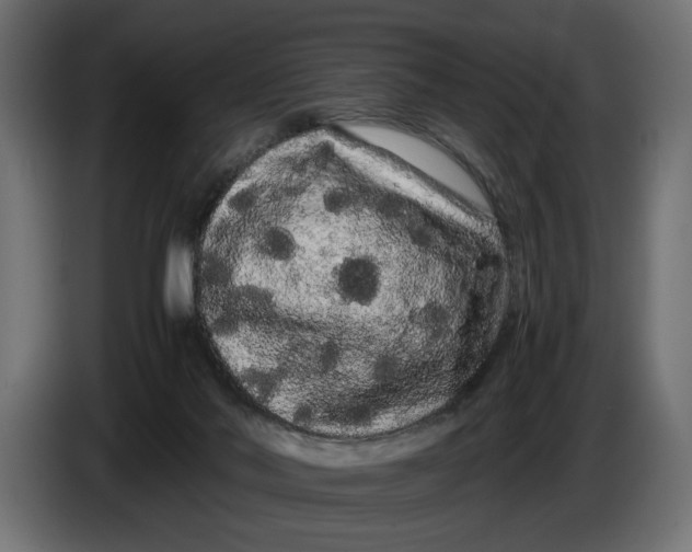 X0000086090022200704132135