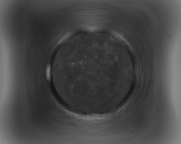 X0000086090024200704132135