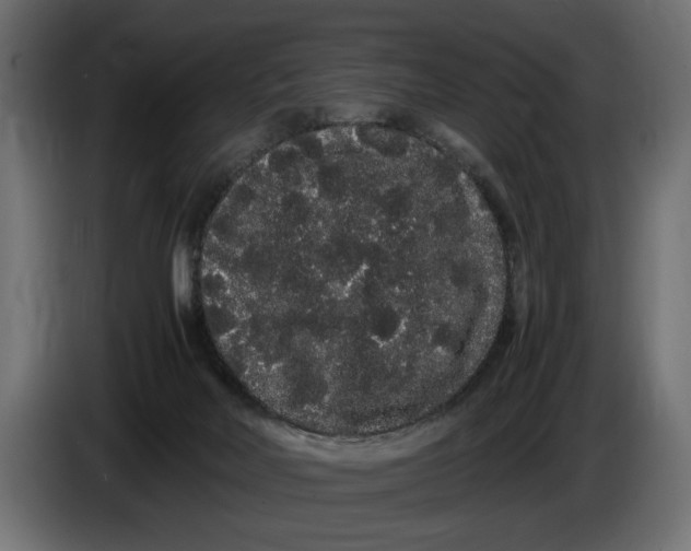 X0000086090026200704132135