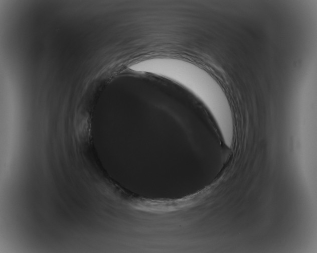 X0000086090029200704132135