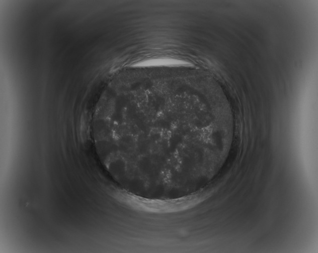 X0000086090030200704132135