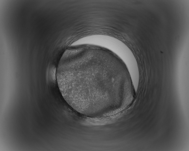 X0000086090041200704132135