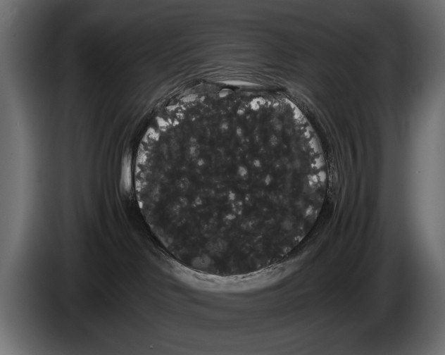 X0000086090046200704132135