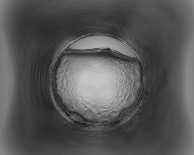 X0000086090049200704132134