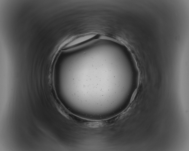 X0000086090050200704132134