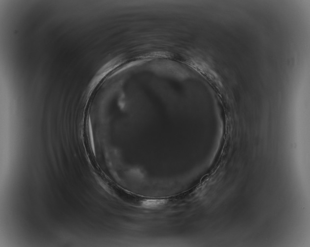 X0000086090051200704132134