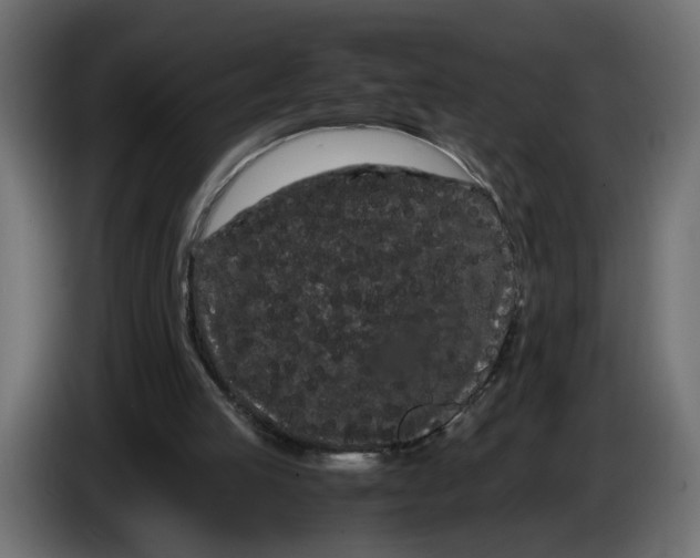 X0000086090053200704132134