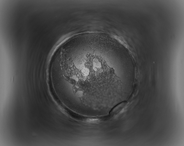 X0000086090055200704132134