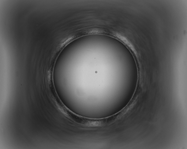 X0000086090057200704132134