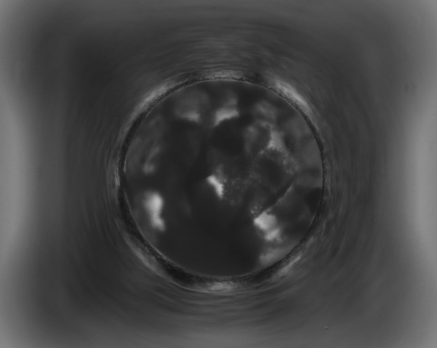 X0000086090059200704132134