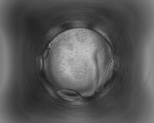 X0000086090061200704132134