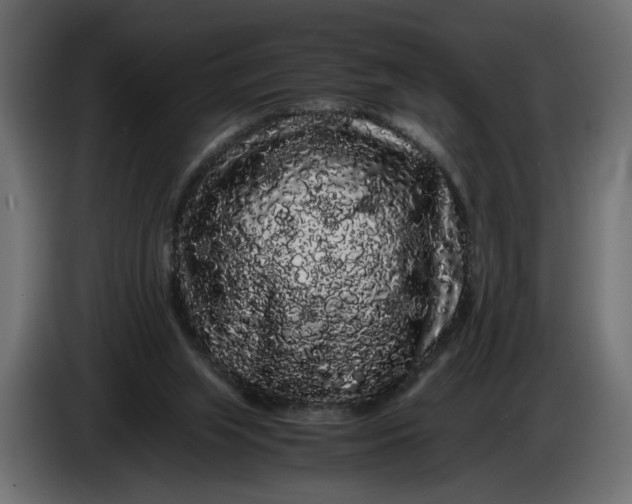 X0000086090063200704132134