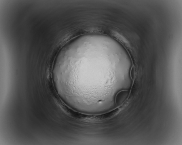 X0000086090065200704132134