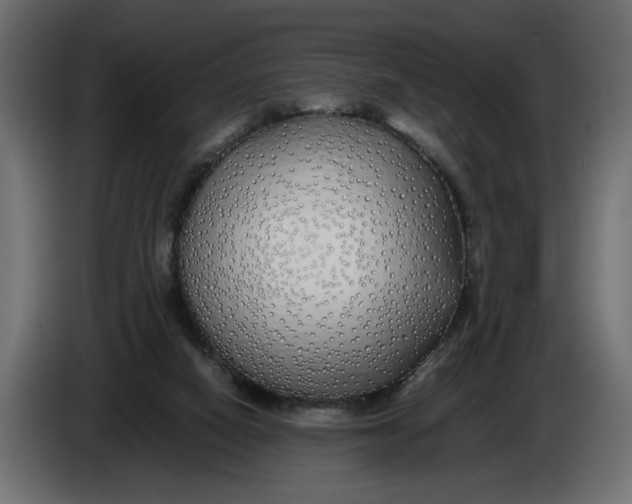 X0000086090066200704132134