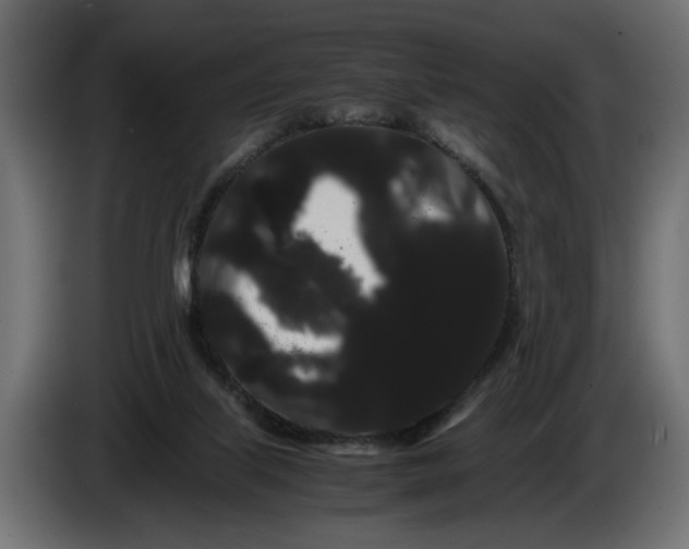 X0000086090067200704132134