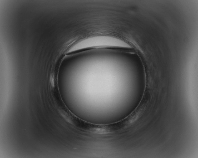 X0000086090068200704132134