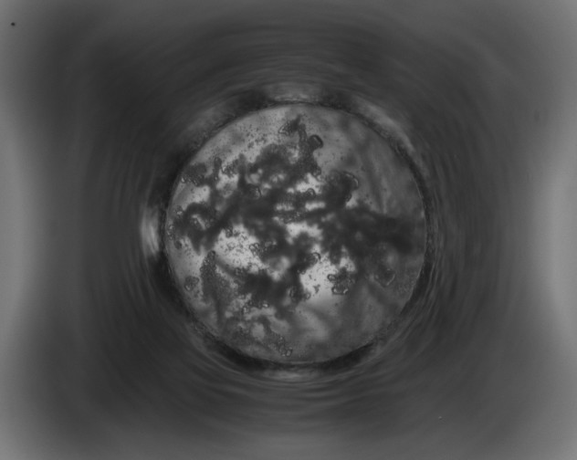 X0000086090069200704132134