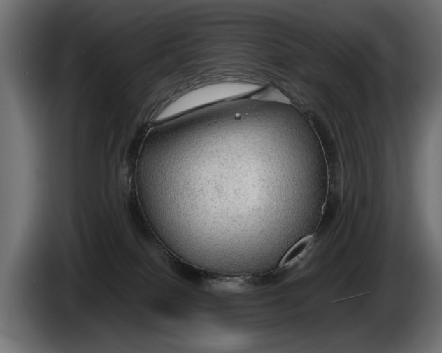 X0000086090086200704132135