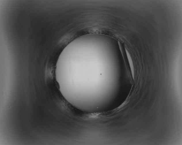 X0000086090090200704132135