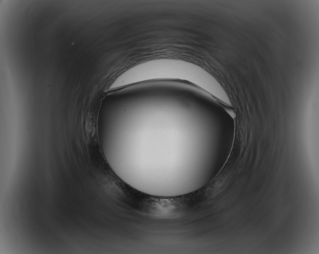 X0000086090091200704132135