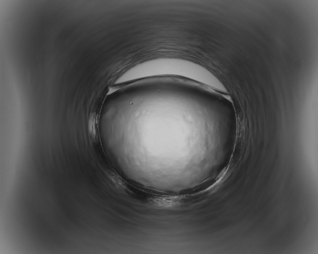 X0000086090094200704132135