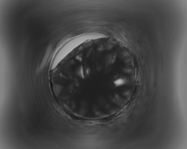 X0000086090099200704132134