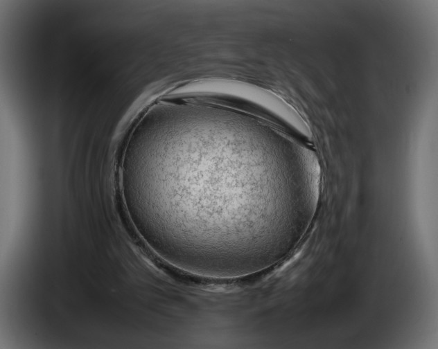 X0000086090101200704132134