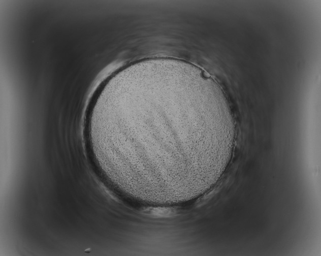 X0000086090104200704132134