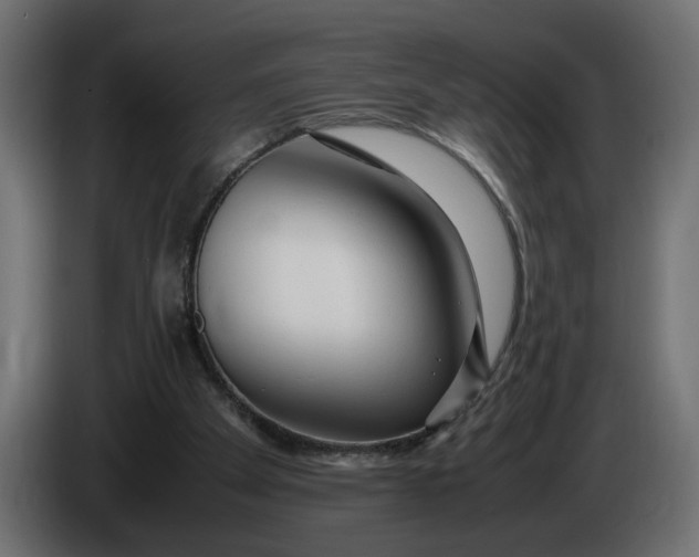 X0000086090105200704132134