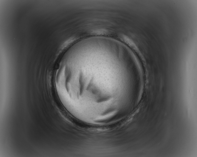 X0000086090106200704132134