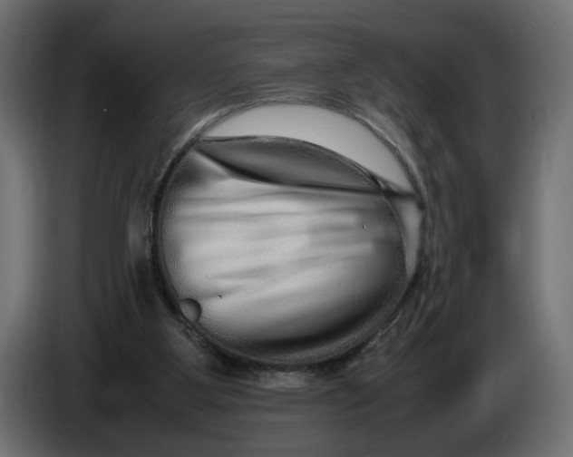 X0000086090107200704132134