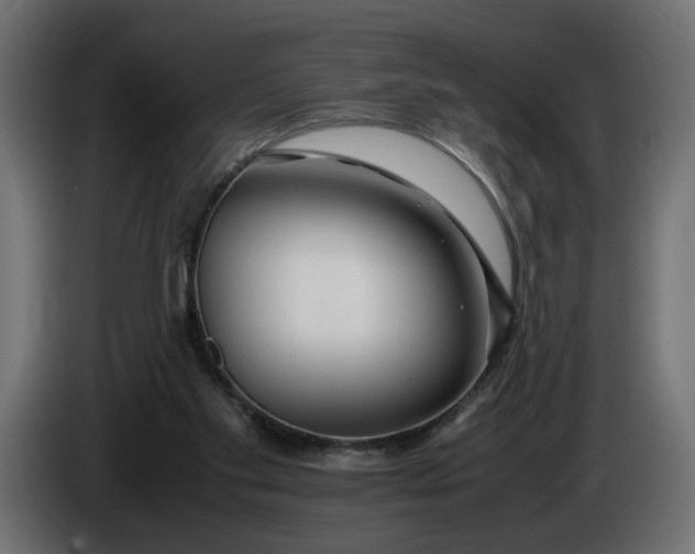 X0000086090109200704132134