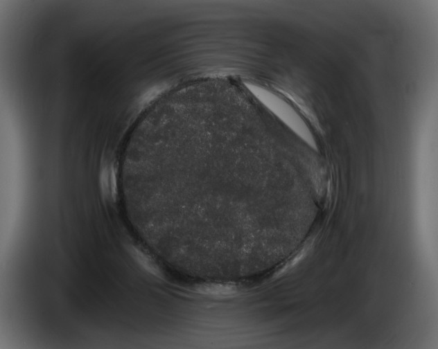 X0000086090110200704132134