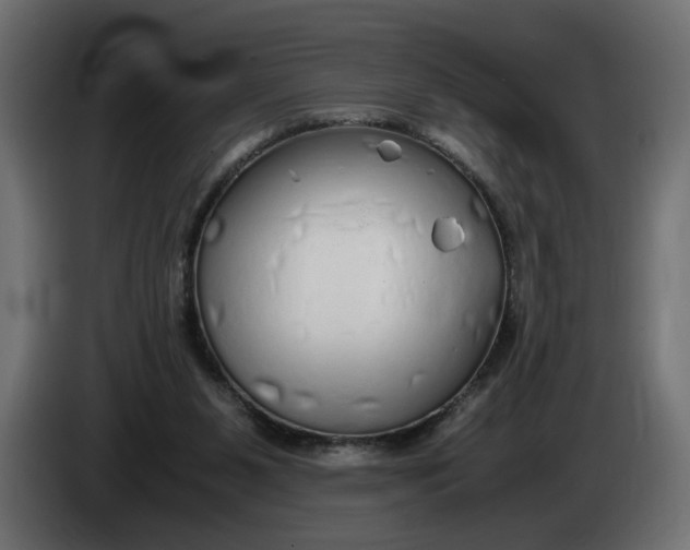 X0000086090111200704132134