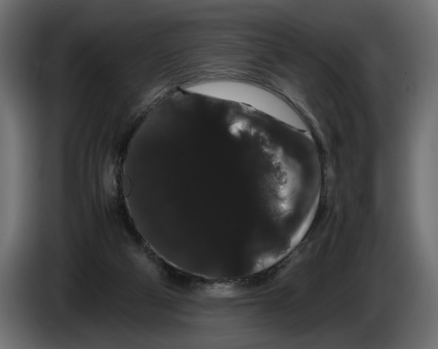 X0000086090114200704132134