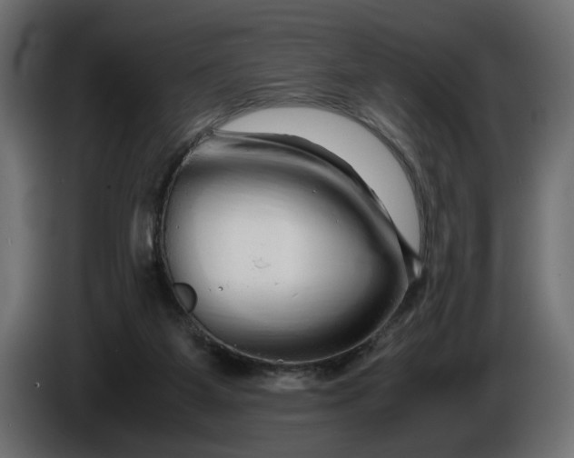 X0000086090115200704132134