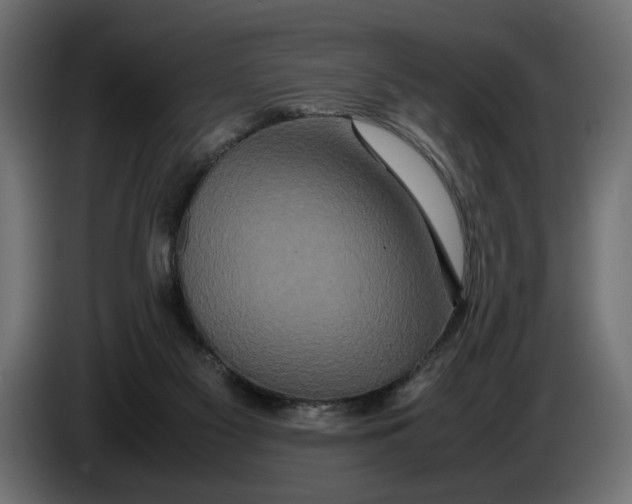 X0000086090117200704132134