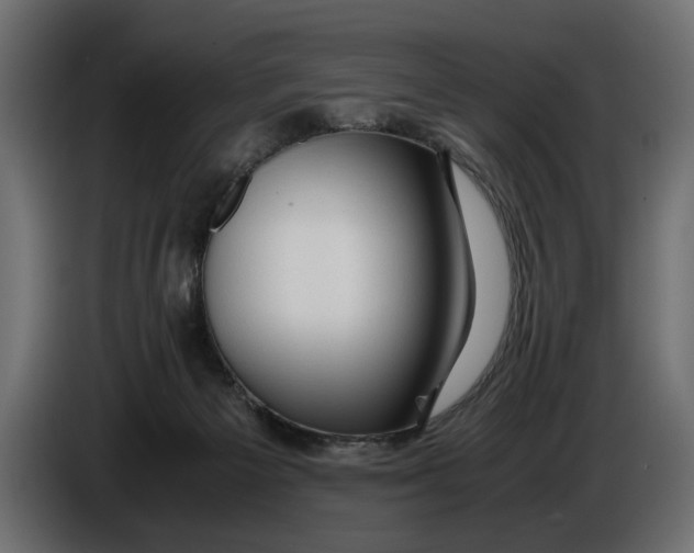 X0000086090125200704132134