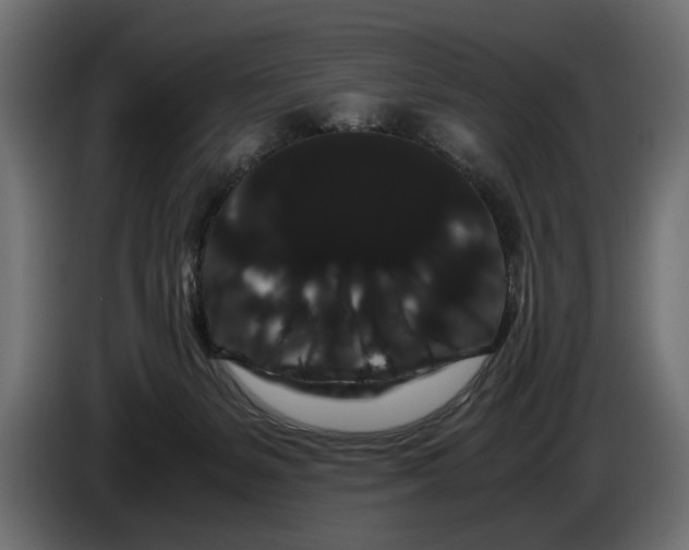 X0000086090127200704132134