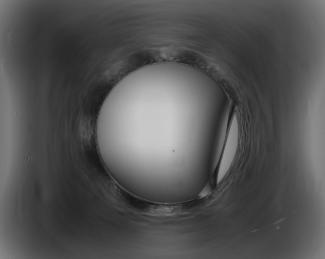 X0000086090129200704132134