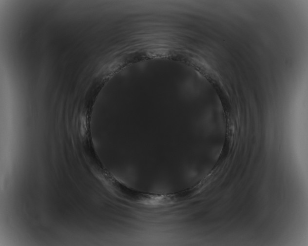 X0000086090130200704132134