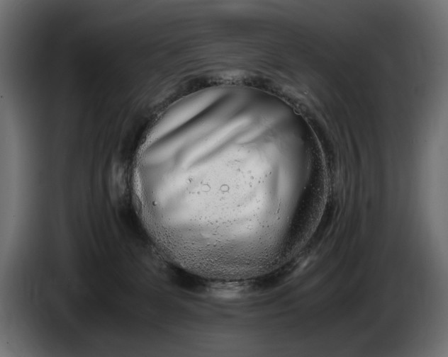 X0000086090131200704132134