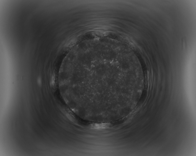 X0000086090134200704132134