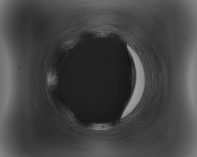 X0000086090137200704132134