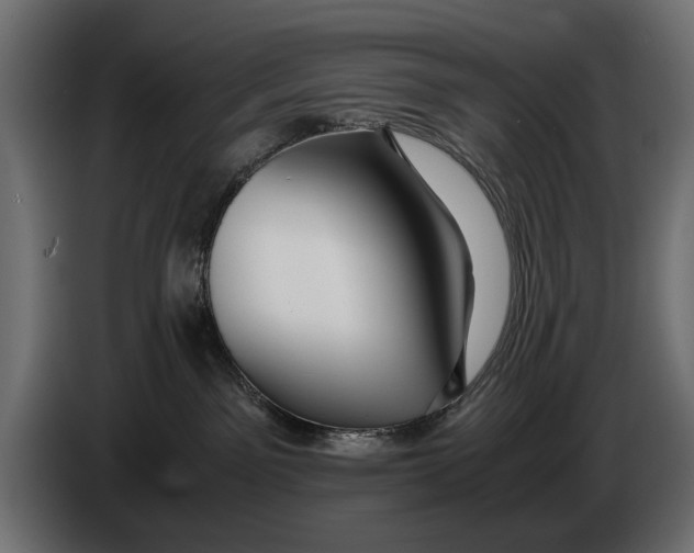 X0000086090141200704132133