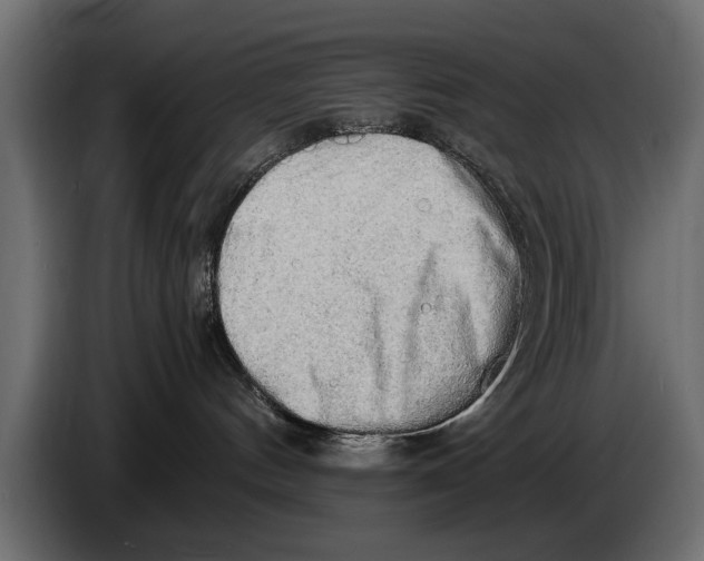 X0000086090144200704132133