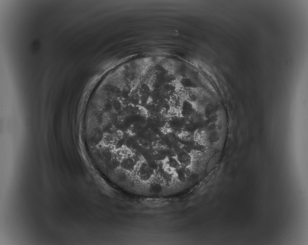 X0000086090145200704132133