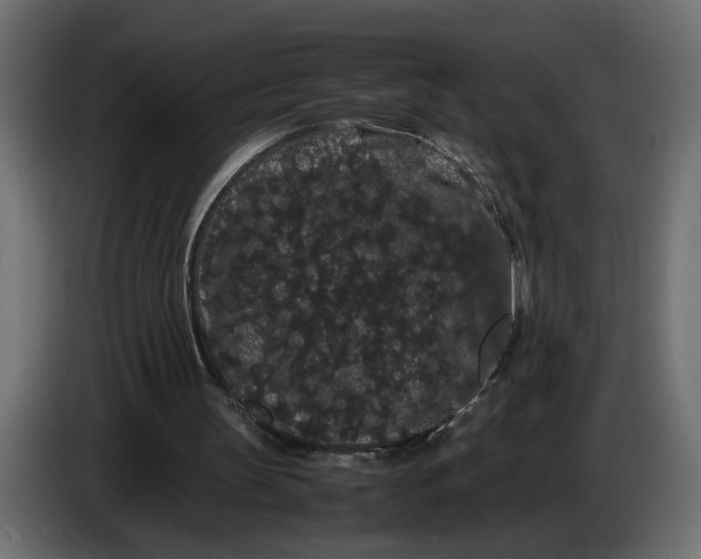 X0000086090147200704132133